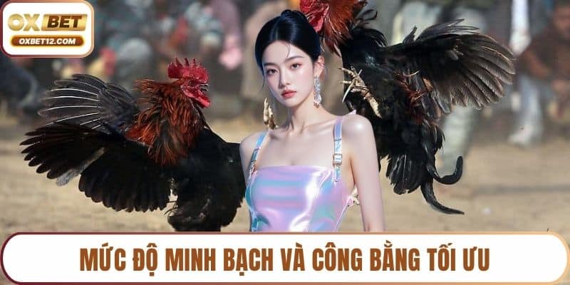 Đá gà trực tiếp C1