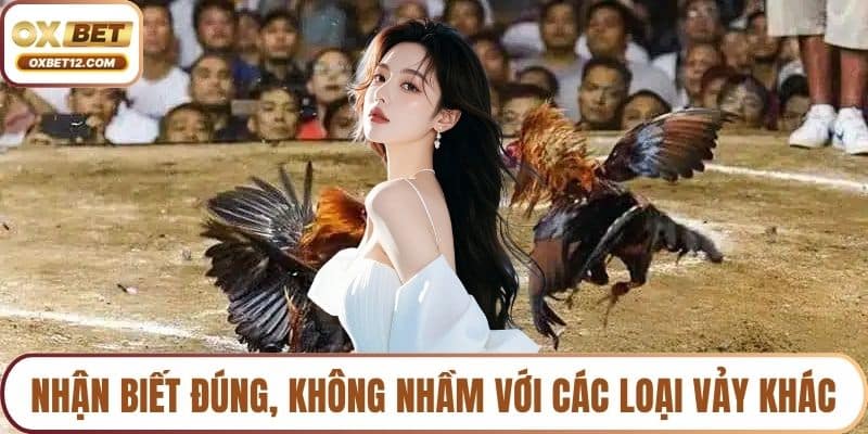 Vảy gà gọi thần kê 